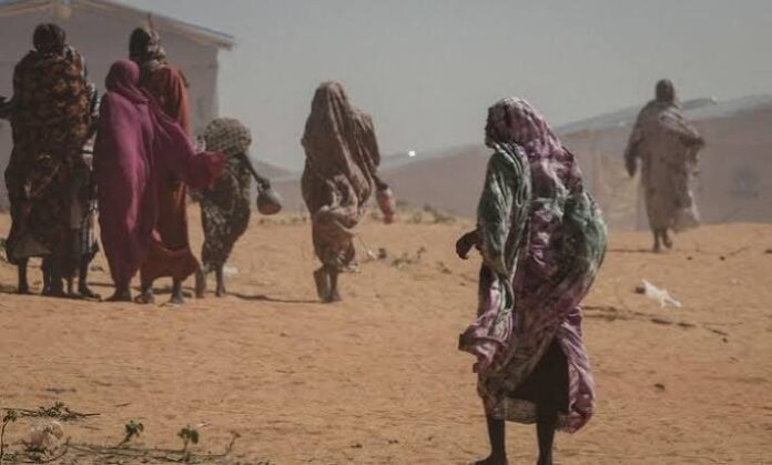 منظمة الهجرة الدولية: نزوح أكثر من 6,600 شخص من محلية سربا إلى تشاد بعد معارك بئر سليبة