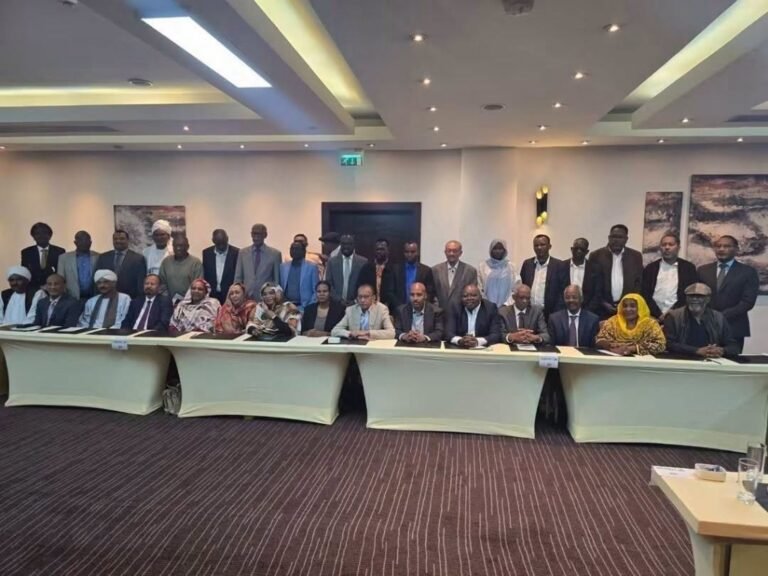 القوى المدنية السودانية تطالب مجلس الأمن بهدنة فورية وتوسيع حظر السلاح ليشمل كل السودان