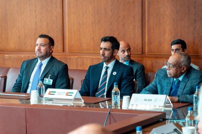 الإمارات في اجتماع جنيف: ندعم هدنة إنسانية فورية وحكومة مدنية مستقلة عن المتحاربين والمتطرفين