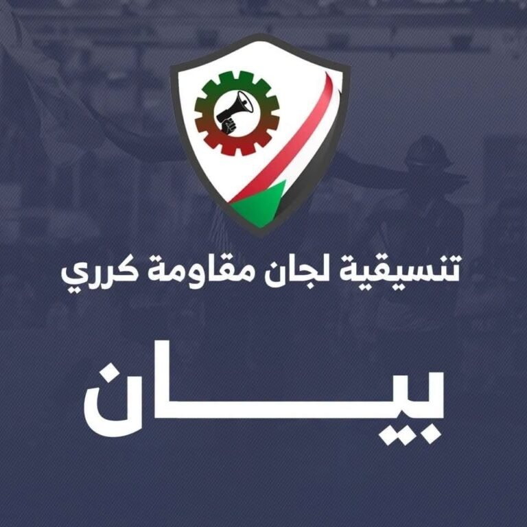 لجان مقاومة كرري: خصخصة التعليم مساومة على مستقبل الأجيال والميادين ليست للبيع