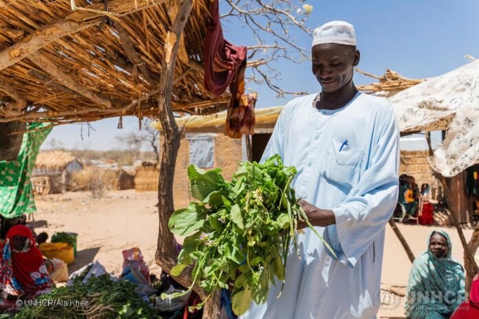 لاجئون سودانيون في تشاد يزرعون الأرض مع المجتمع المضيف لمواجهة الجوع
