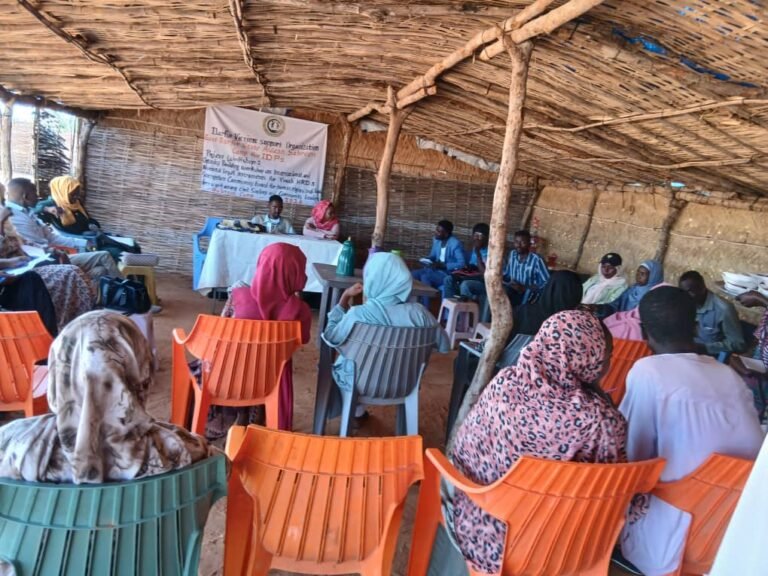 (DVSO) Report on the Capacity-Building Workshop on National and International Human Rights Legal Mechanisms