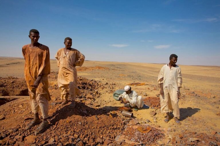 10 منظمات حقوقية تطالب باستبعاد مصر من مبادرات سلام السودان وتتهم الجيش المصري بقتل 150 معدناً في البحر الأحمر