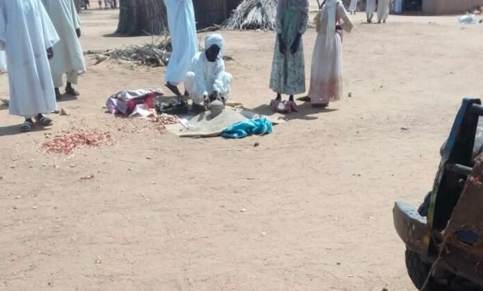 Um Kadada, North Darfur Declared Famine Zone - 84% of Population Without Food, Emergency Appeal Issued