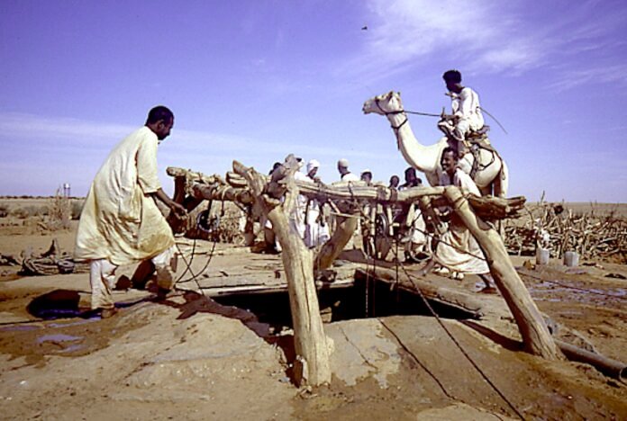 القاهرة.. أنثروبولوجية إيطالية تعود لثلاثة عقود من البحث حول الرعاة الرحل في السودان في زمن الحرب